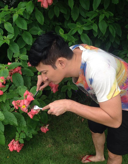 Hồng Quế khoe vòng1 siêu Hồng Quế khoe vòng1 siêu