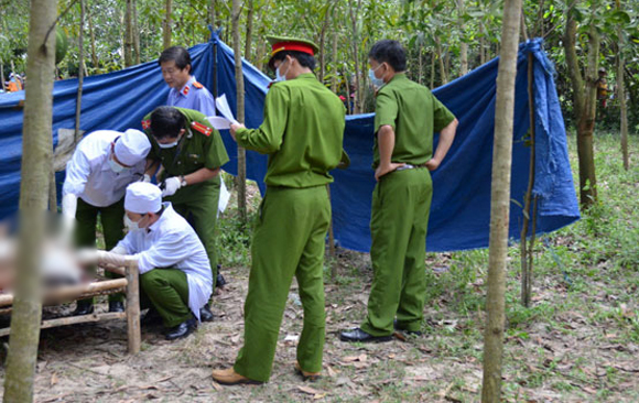 Hoảng hồn phát hiện xác phụ nữ trong rừng keo Hoảng hồn phát hiện xác phụ nữ trong rừng keo