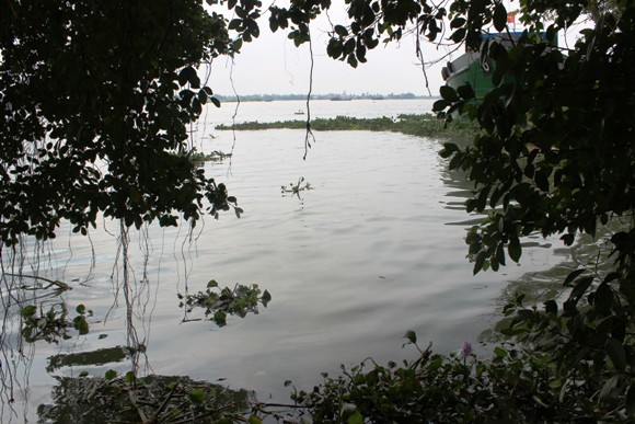 Vận động viên bơi lội