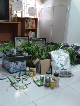 Kẻ trồng cần Sa trong nhà đã từng là sinh viên Đại học Luật