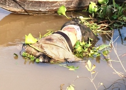 Phát hiện xác chết trôi sông, đang trong giai đoạn phân hủy Phát hiện xác chết trôi sông, đang trong giai đoạn phân hủy