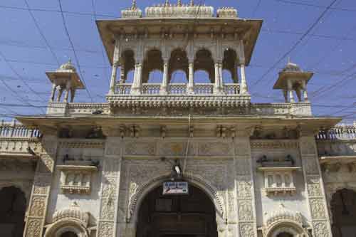 Kỳ lạ ngôi đền với hơn 20.000 con chuột được người dân tôn thờ Kỳ lạ ngôi đền với hơn 20.000 con chuột được người dân tôn thờ