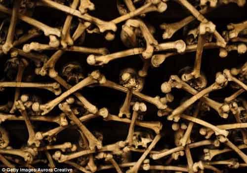 Ớn lạnh nhà thờ được xây bằng đầu lâu và xương người 