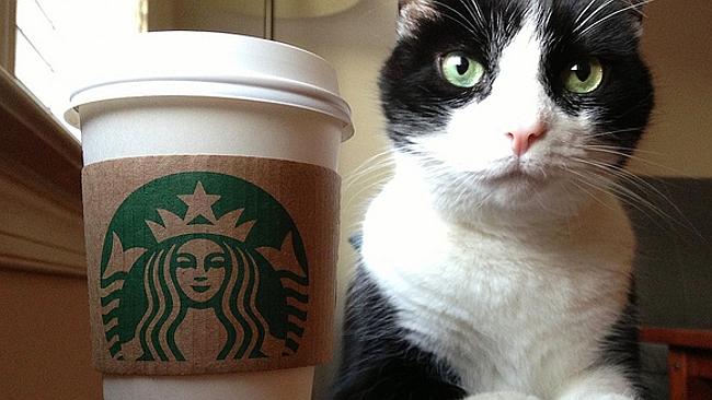 20 cách giúp bạn tươi tắn trong ngày Quốc tế Hạnh phúc