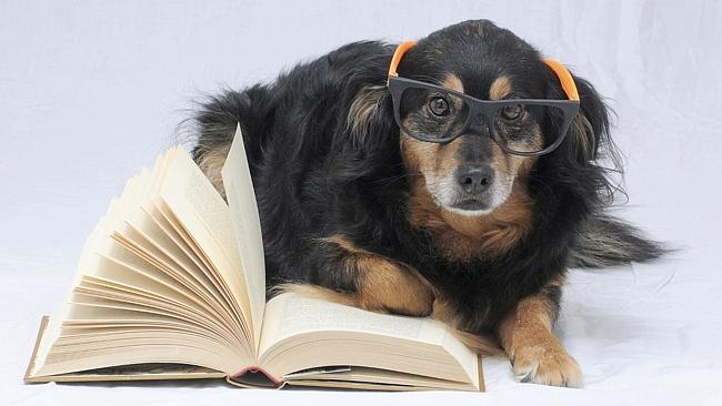 20 cách giúp bạn tươi tắn trong ngày Quốc tế Hạnh phúc