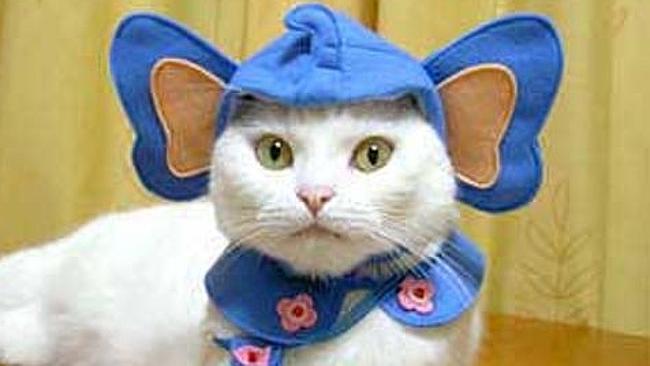 20 cách giúp bạn tươi tắn trong ngày Quốc tế Hạnh phúc