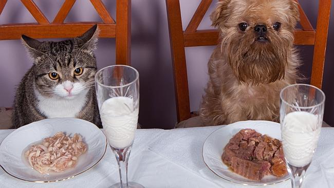 20 cách giúp bạn tươi tắn trong ngày Quốc tế Hạnh phúc