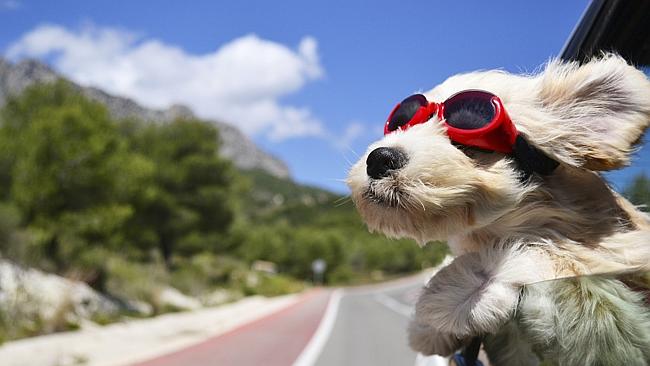 20 cách giúp bạn tươi tắn trong ngày Quốc tế Hạnh phúc