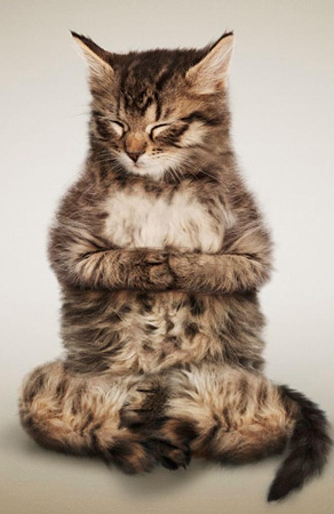 20 cách giúp bạn tươi tắn trong ngày Quốc tế Hạnh phúc