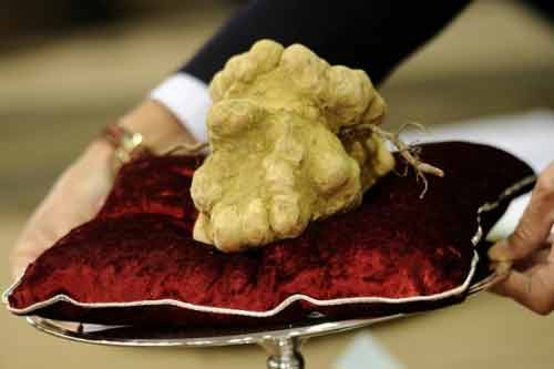 Điểm lại 10 đồ ăn đắt nhất thế giới Điểm lại 10 đồ ăn đắt nhất thế giới