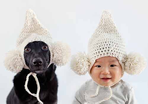 Bộ ảnh cực đáng yêu em bé và chú chó cưng