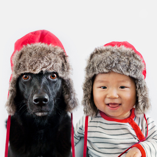 Bộ ảnh cực đáng yêu em bé và chú chó cưng