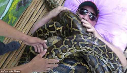 Dùng 4 con trăn trườn trên người để điều trị chấn thương tay