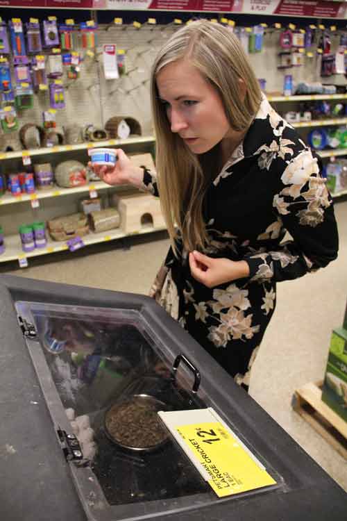 Kinh hoàng người phụ nữ nghiện ăn thịt chuột, sâu, dế