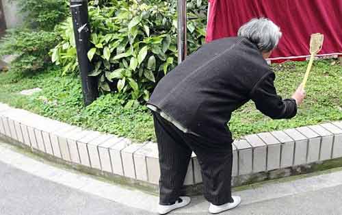 Cụ bà 80 tuổi được vinh danh vì dành 8 giờ/ngày để đi diệt ruồi