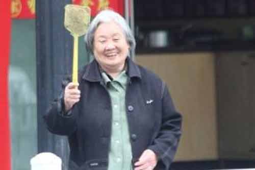 Cụ bà 80 tuổi được vinh danh vì dành 8 giờ/ngày để đi diệt ruồi