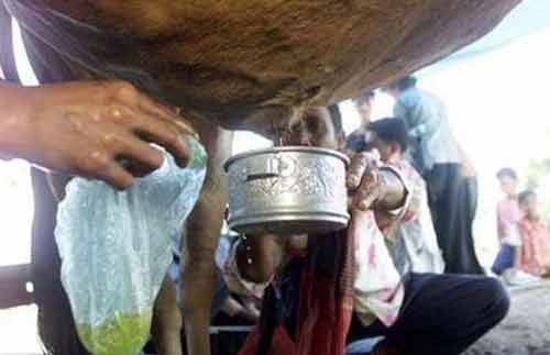 Rợn người với những phương pháp chữa bệnh kỳ quái Rợn người với những phương pháp chữa bệnh kỳ quái