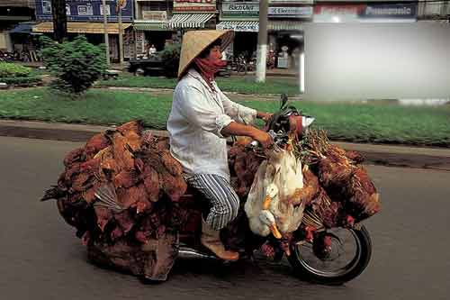 Hình ảnh chở đồ cồng kềnh ở Việt Nam lên báo Anh 