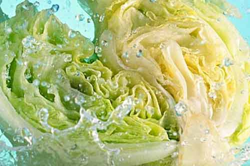 Những loại thực phẩm bổ sung nhiều nước cho cơ thể