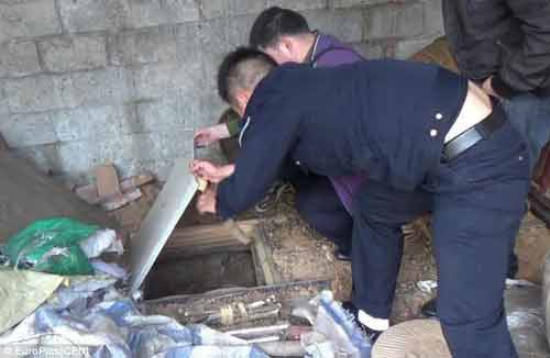 Lừa vợ cũ về nhà rồi nhốt trong hầm bí mật dưới sàn nhà