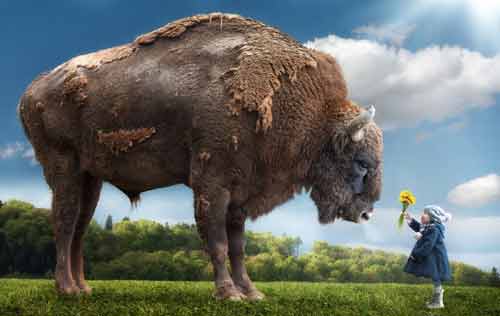 Bố đưa con gái vào xứ sở thần tiên bằng các kỹ năng Photoshop