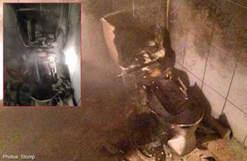 Phá hủy cả nhà vệ sinh vì tiêu diệt một con gián Phá hủy cả nhà vệ sinh vì tiêu diệt một con gián