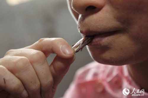 Khiếp đản người phụ nữ nuôi 100.000 con gián như con cái Khiếp đản người phụ nữ nuôi 100.000 con gián như con cái