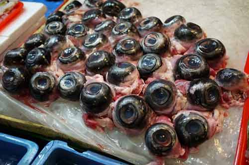 Những món ăn kỳ quái trên thế giới khiến thực khách “sởn gai ốc”