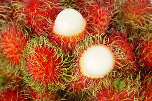 Những công dụng tuyệt vời của trái chôm chôm