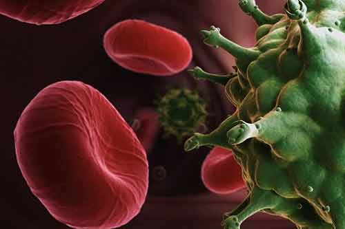 Tìm ra cách loại bỏ hoàn toàn virus HIV khỏi tế bào người