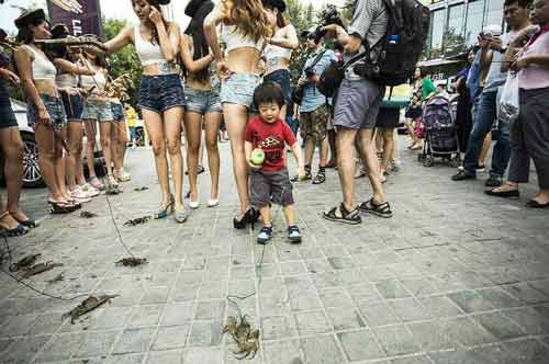 Dàn chân dài mặc hở hang dắt cua đi dạo phố Dàn chân dài mặc hở hang dắt cua đi dạo phố