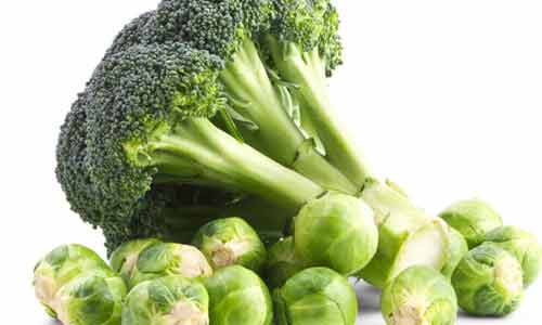 5 thực phẩm giúp tăng cường trí não cho sĩ tử trong các kỳ thi