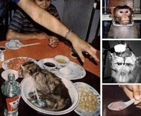 Lầm tưởng những “thần dược” chữa yếu sinh lý ghê rợn