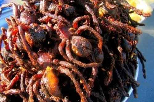 Lầm tưởng những “thần dược” chữa yếu sinh lý ghê rợn