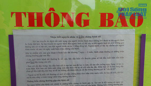 Các trường mầm non 