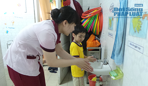 Các trường mầm non 