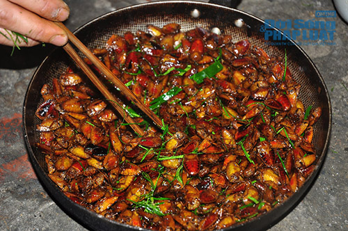 Tận mắt chứng kiến kỹ nghệ săn bọ xít của người Mường