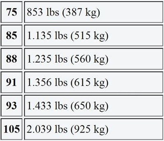 lop-xe-ban-tai-xe-suv-05