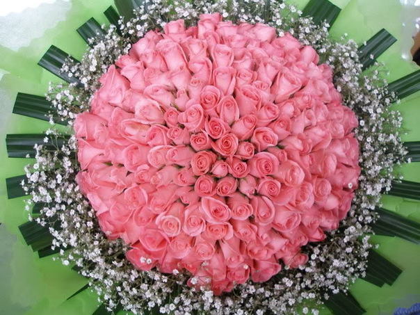 Những câu danh ngôn hay về phụ nữ nhân ngày 20/10