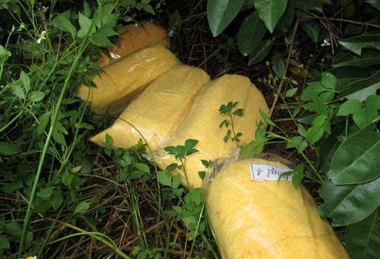 TPHCM: Kinh hoàng chà bông bẩn được sản xuất từ thịt gà thối