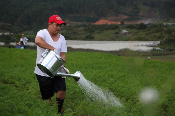 Bốn bố con sao Việt “vỡ mộng” trong Bố ơi! Mình đi đâu thế?