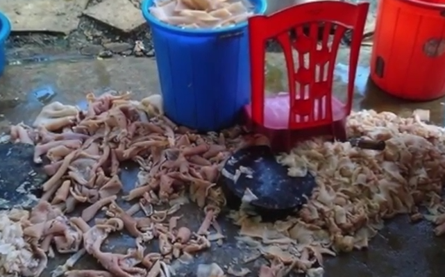 JVevermind tâm sự “Ăn bẩn có thực sự sống lâu?”