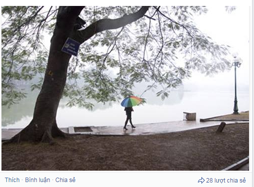 Gió mùa Đông Bắc về dân mạng rủ nhau “tìm gấu” 