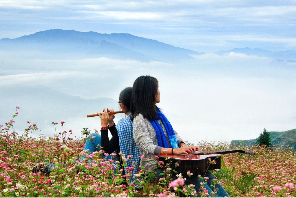 Ngẩn ngơ với sắc hoa tam giác mạch mùa Thu Tây Bắc