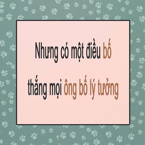 Hài hước sự khác biệt giữa “ông bố lý tưởng” và “bố”