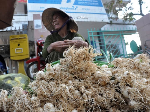 Rắn lục đuôi đỏ sợ gì?