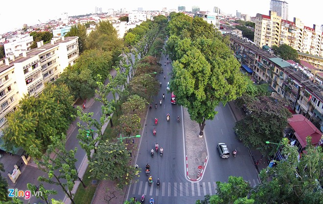 Đốn 200 cây không đạt chuẩn ở “đường ảnh cưới”