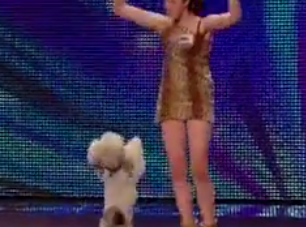 Clip: Chú chó biểu diễn thông minh chiếm trọn trái tim khán giả