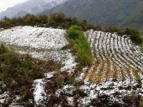 Tuyết rơi ở Lũng Cú Hà Giang chỉ là tin đồn Tuyết rơi ở Lũng Cú Hà Giang chỉ là tin đồn