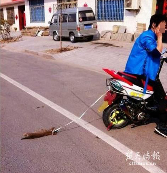 Phẫn nộ trước trò tiêu khiển động vật của nam thanh niên Phẫn nộ trước trò tiêu khiển động vật của nam thanh niên